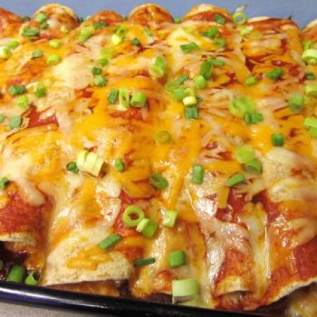 Cream Cheese Chicken Enchiladas