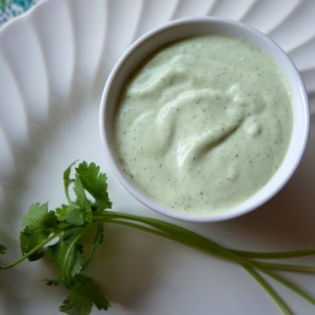 YOGURT*****Cilantro Lime Yogurt Dipping Sauce