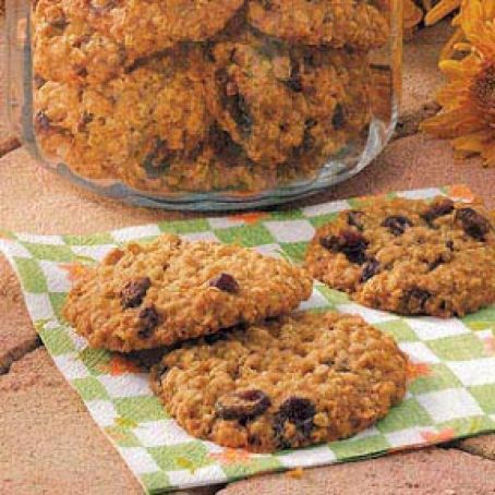 2003 Cranberry Oat Yummies