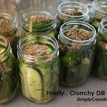 Dill Pickles - Crunchy