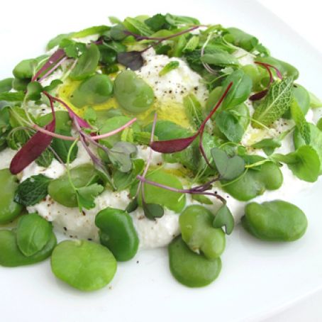 Fresh Ricotta with Olive Oil, Fava Beans, and Herbs