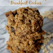 cookie - oatmeal chocolate chip breakfast - gf