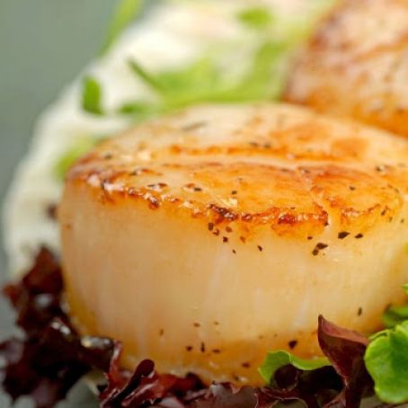 Pan Seared Scallops with Herb Butter Sauce