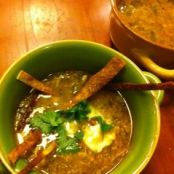 Tomatilla Chicken Soup