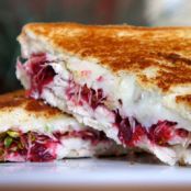 Turkey Cranberry Melt