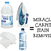 Miracle Stain Remover Carpet