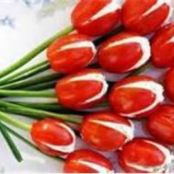 Tomato Tulips