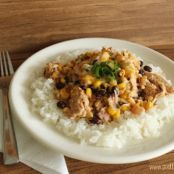 CREAMY CROCK-POT FIESTA CHICKEN