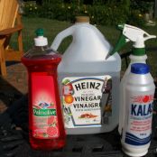Natural weed killer (made with basic items in your kitchen)