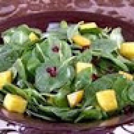 Spinach Salad with Mangos, Dried Cranberries and Chocolate Vinaigrette