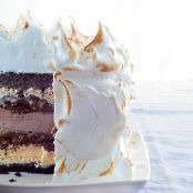 Baked Alaska Birthday Cake