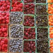 Berry Wash (to keep mold away)