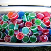 Variety of Jello Shots