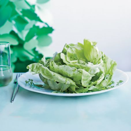 Boston Lettuce Salad with Herbs