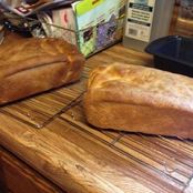 Basic White Bread