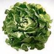 Boston Lettuce and Pecan Salad