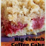 Big Crumb’ Coffeecake with Rhubarb