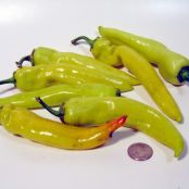 Chicken with Jalapeno Cheese Sauce