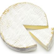 Appetizers (Fried Brie)