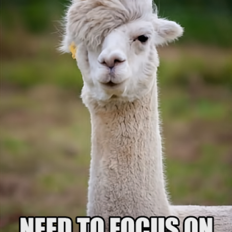 Vegan Potato Leek Salad