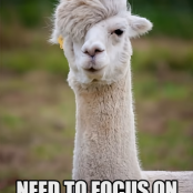 Vegan Potato Leek Salad