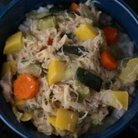 Chicken Zucchini Stew on Rice