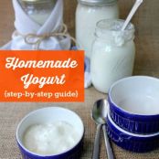 Yogurt -  Homemade