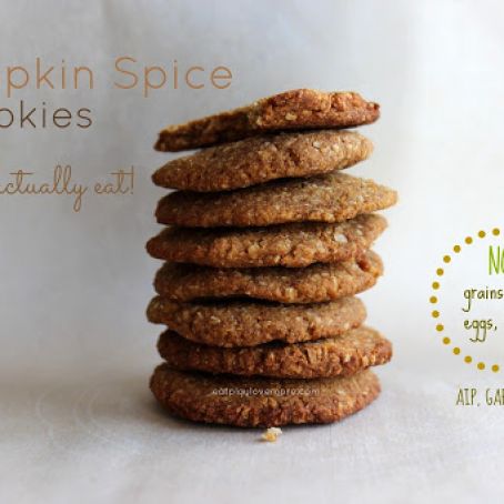 Pumpkin Spice Cookies You Can Actually Eat! (Paleo, AIP, GAPS, V)