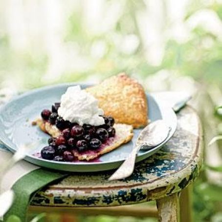 Shortcake, Gingered Blueberry