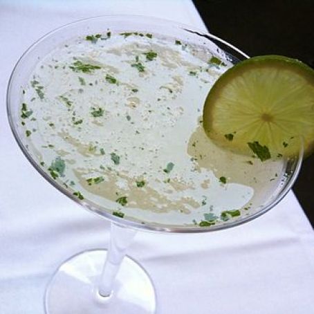 Vodka Gimlet by Stuart Woods