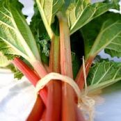 Rhubarb Bug Spray