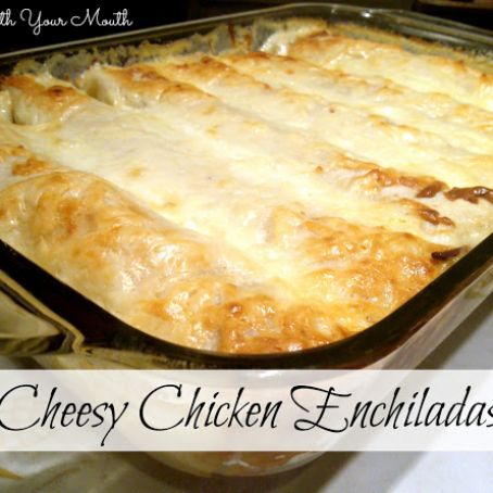 Cheesy Chicken Enchiladas  and Rice (southyourmouth)
