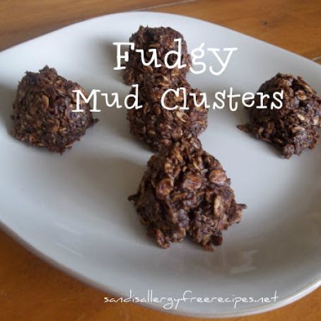 Fudgy Mud Clusters
