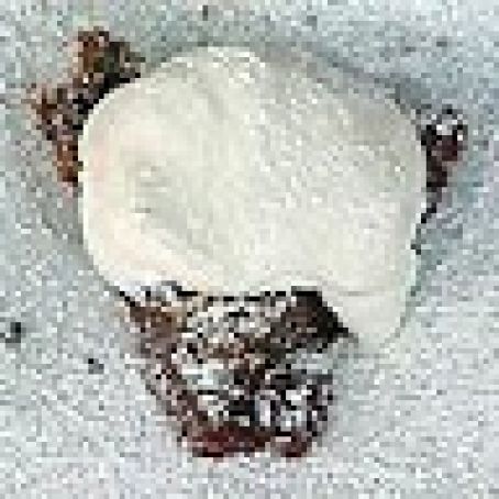 Mr. Lou's Chocolate Praline Pie with Bourbon Whipped Cream