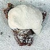 Mr. Lou's Chocolate Praline Pie with Bourbon Whipped Cream