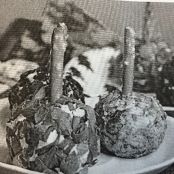 Cheese Ball Holiday Bites