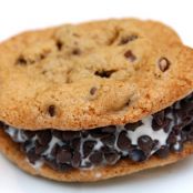 Chocolate Chip Ice Cream Sandwich