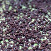 Double Chocolate Mint Brownies