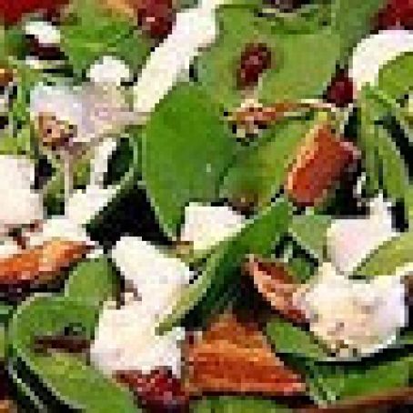 Spinach Salad with Cranberries, Pecans, Bacon, and Blue Cheese