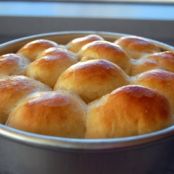 Dinner Rolls