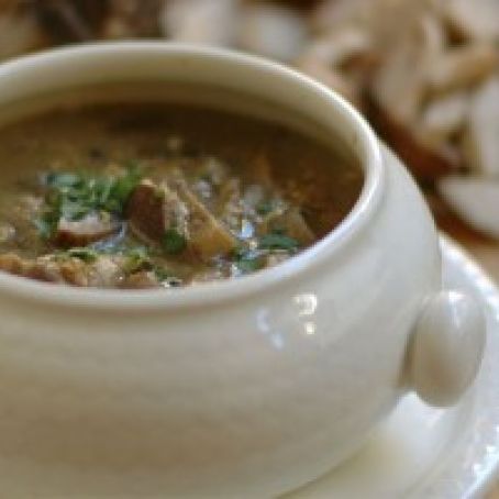 Zuppa di Porcini: Porcini Soup