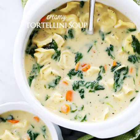 Creamy Tortellini Soup