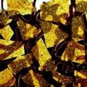 Pumpkin Seed Croquant and Chocolate Mosaic