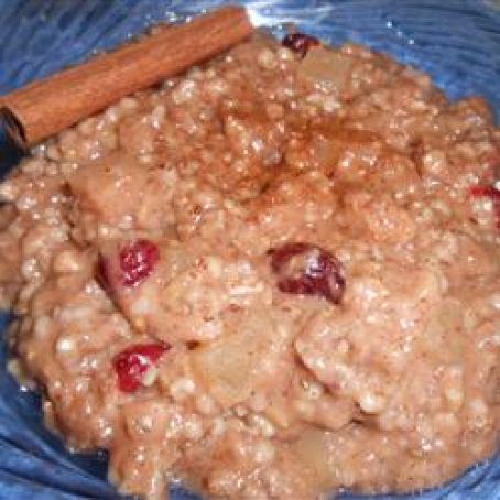 Slow Cooker Cinnamon Apple Steel Cut Oats
