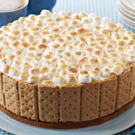 S'mores Ice Cream Cake