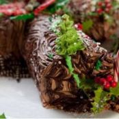 Chocolate and Coffee Yule Log - Plaza Inn Disney