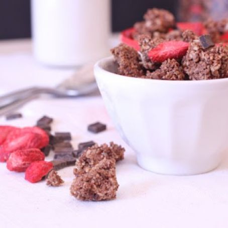 granola - Paleo Chocolate Granola with Dried Berries