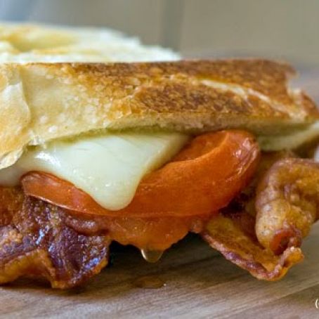 Bacon, Cheddar and Grilled Tomato Panini