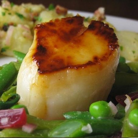 Pan-Seared Scallops