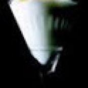 Hot Foam of Potato With Mock Tartufo